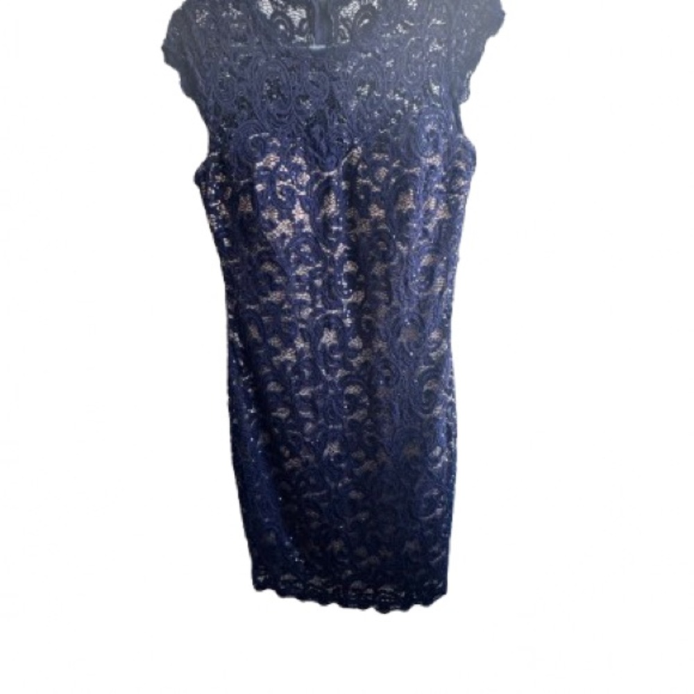 Sequin Hearts Navy Lace Mini Dress